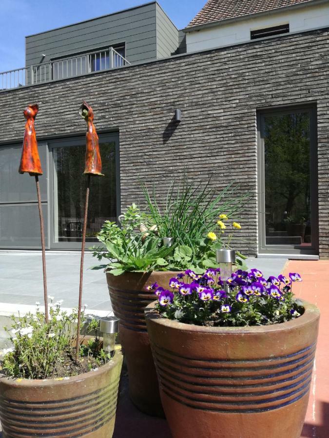 Vakantieverblijf Volmolen B&B 마세이크 외부 사진