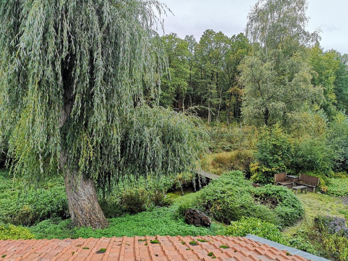 Vakantieverblijf Volmolen B&B 마세이크 외부 사진